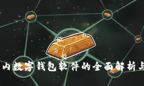 bianoti国内数字钱包软件的全面解析与应用趋势