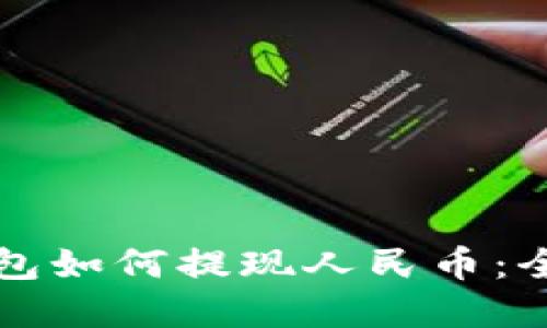 比特派钱包如何提现人民币：全流程详解