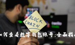 如何查看数字钱包账号：全面指南