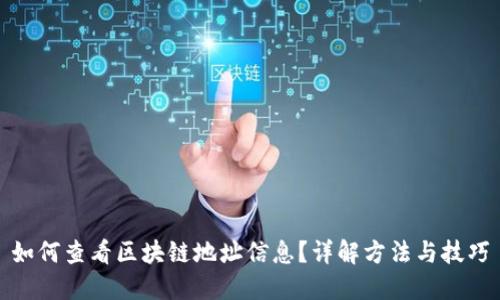 如何查看区块链地址信息？详解方法与技巧
