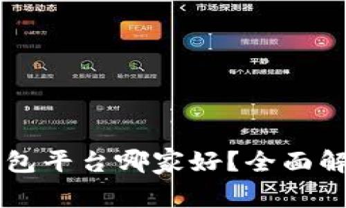 虚拟币钱包平台哪家好？全面解析与推荐