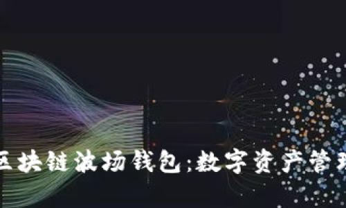 深入解析区块链波场钱包：数字资产管理的新选择