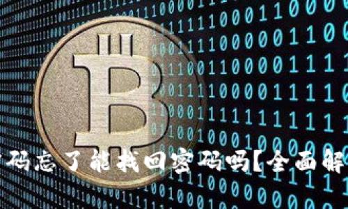 小狐狸钱包密码忘了能找回密码吗？全面解析与解决方案