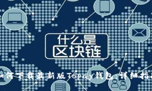 如何下载最新版Topay钱包：详细指南