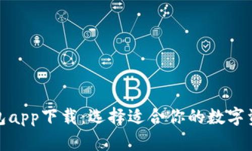 数字货币钱包app下载：选择适合你的数字资产管理工具