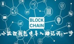 如何在小狐狸钱包中导入助记词：一步步指南