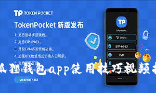 小狐狸钱包app使用技巧视频指南