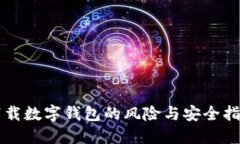 下载数字钱包的风险与安全指南