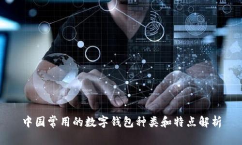 中国常用的数字钱包种类和特点解析