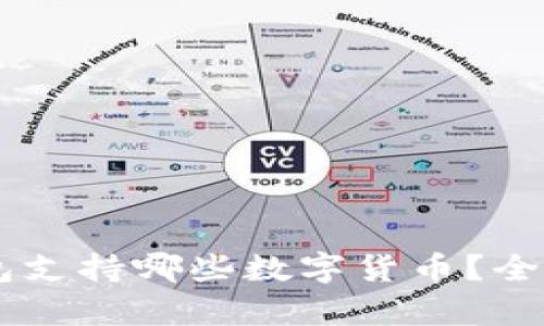 IM钱包支持哪些数字货币？全面解析