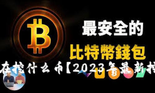 和关键词

现在国内都在挖什么币？2023年最新挖矿币种解析