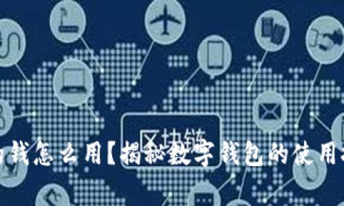数字钱包里面的钱怎么用？揭秘数字钱包的使用技巧与注意事项