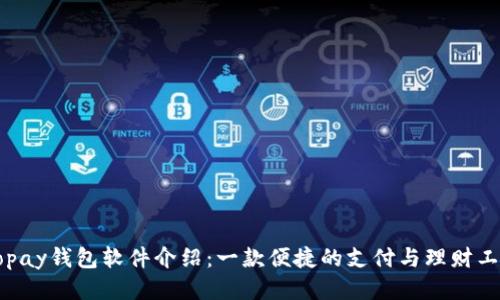 Gopay钱包软件介绍：一款便捷的支付与理财工具