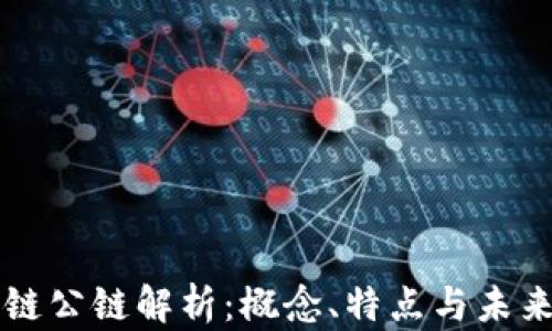 
区块链公链解析：概念、特点与未来发展