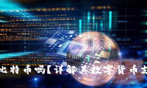 : 小狐狸钱包支持比特币吗？详解其数字货币支持情况与使用指南