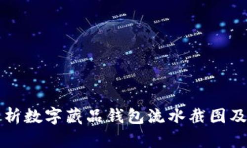 全面解析数字藏品钱包流水截图及其应用