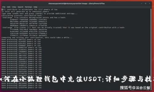 如何在小狐狸钱包中充值USDT：详细步骤与技巧