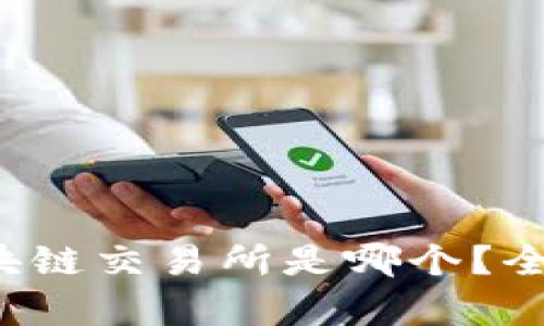  最安全的区块链交易所是哪个？全面分析与推荐
