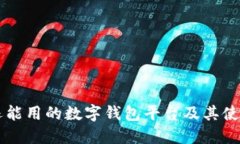 国内还能用的数字钱包平台及其使用指南