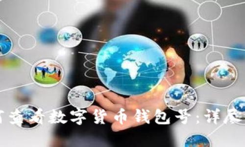如何查看数字货币钱包号：详尽指南