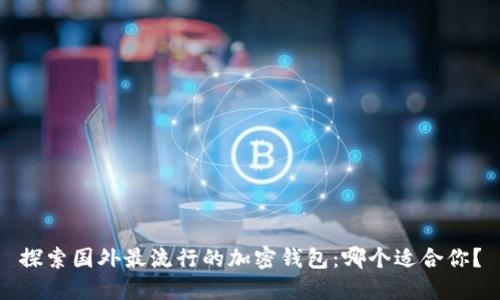 探索国外最流行的加密钱包：哪个适合你？