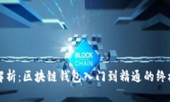 全面解析：区块链钱包入门到精通的终极指南