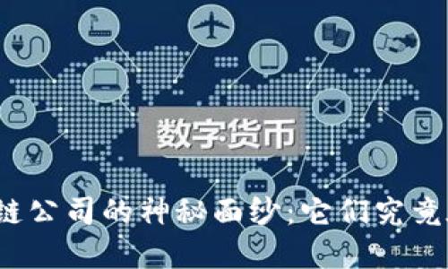 揭开区块链公司的神秘面纱：它们究竟在做什么？