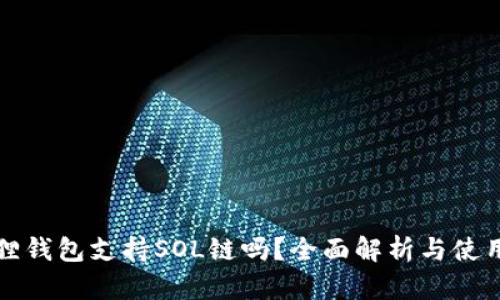 小狐狸钱包支持SOL链吗？全面解析与使用指南