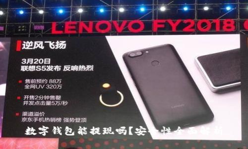 数字钱包能提现吗？安全性全面解析