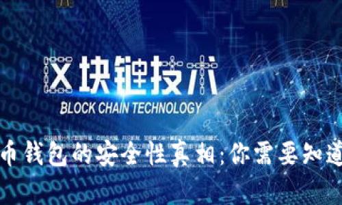 揭开数字货币钱包的安全性真相：你需要知道的五大要点