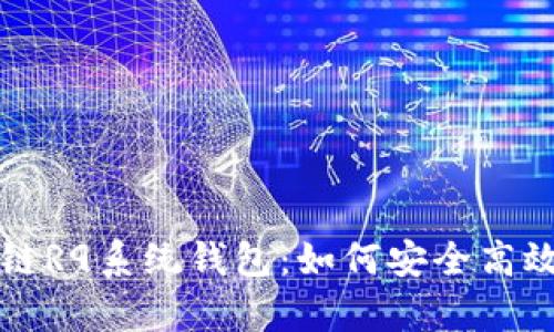 全面解析区块链R9系统钱包：如何安全高效管理数字资产
