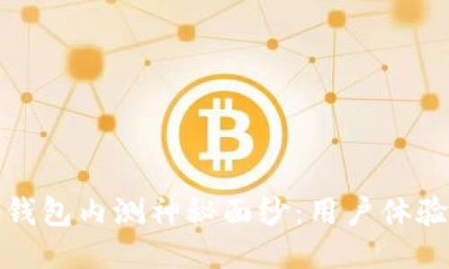 揭开区块链钱包内测神秘面纱：用户体验的未来之路