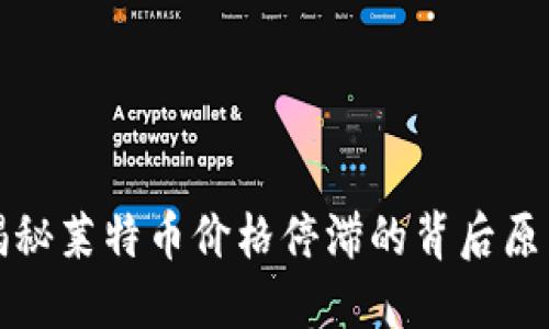 揭秘莱特币价格停滞的背后原因