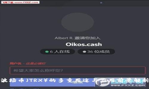 波场币（TRX）的多重用途与应用前景解析