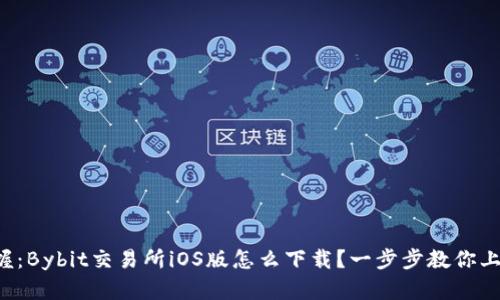 轻松掌握：Bybit交易所iOS版怎么下载？一步步教你上手操作！