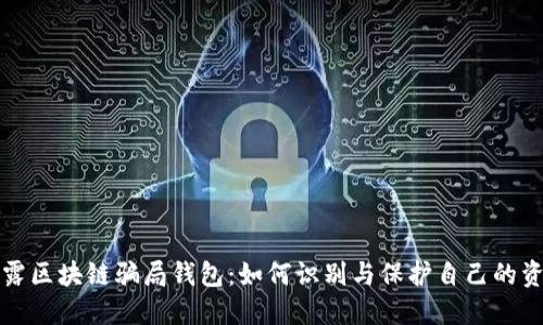 揭露区块链骗局钱包：如何识别与保护自己的资产