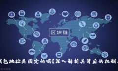 虚拟币钱包地址是固定的吗？深入解析其背后的