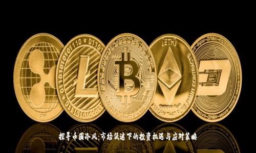 探寻币圈冷风：市场低迷下的投资机遇与应对策略