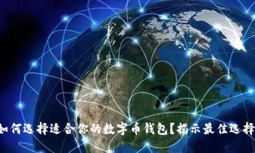 如何选择适合你的数字币钱包？揭示最佳选择！