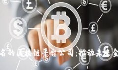 探索全球知名的区块链平台公司：推动未来金融