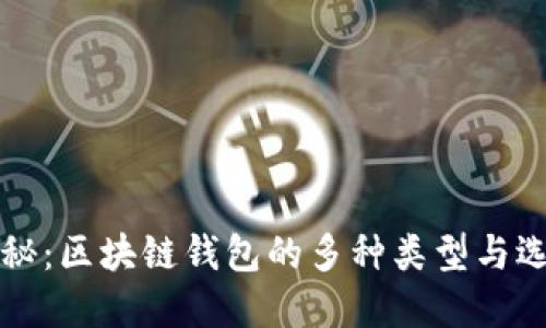 深入揭秘：区块链钱包的多种类型与选择指南