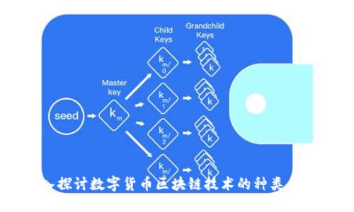 深入探讨数字货币区块链技术的种类与应用