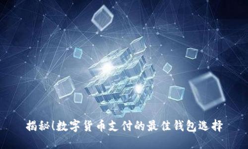 揭秘！数字货币支付的最佳钱包选择