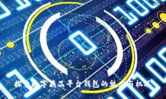探索数字藏品平台钱包的魅力与机遇