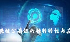 探索区块链公有链的独特特性与应用前景
