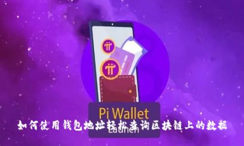 如何使用钱包地址轻松查询区块链上的数据