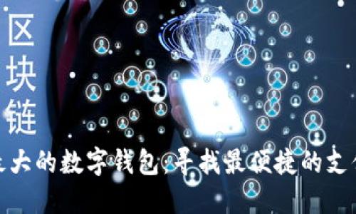 探索美国最大的数字钱包：寻找最便捷的支付解决方案