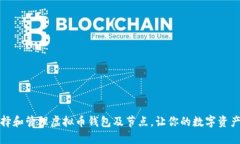 如何选择和管理虚拟币钱包及节点，让你的数字