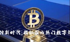 畅享数字支付新时代：揭秘国内热门数字钱包及
