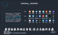 盛源链最新动态分析：潜力与挑战并存